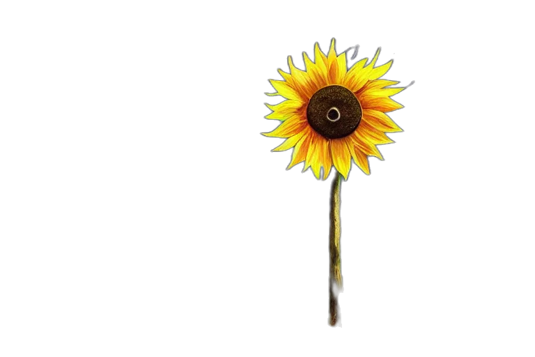 flower, staff, jewelry, umbrella transparent PNG cut-out