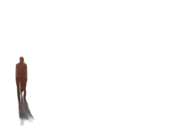 hair, creature, animal, face transparent PNG cut-out