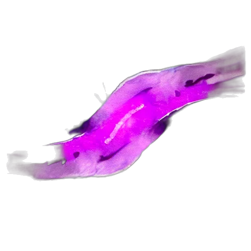 dragon, weapon, hair, staff transparent PNG cut-out