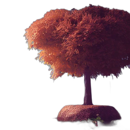 tree, hat, crown, furniture transparent PNG cut-out