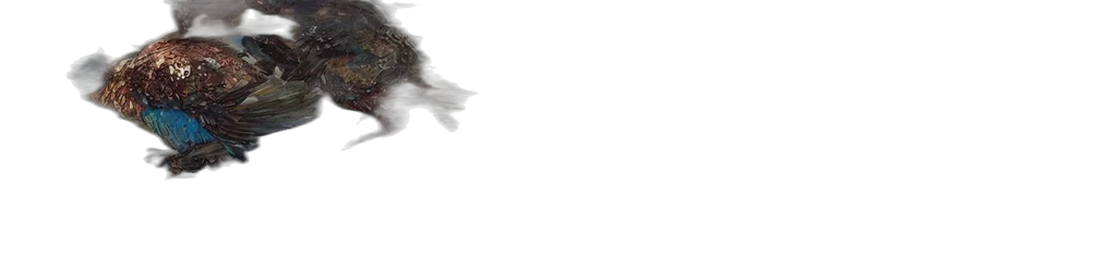 dragon, hair, animal, creature transparent PNG cut-out