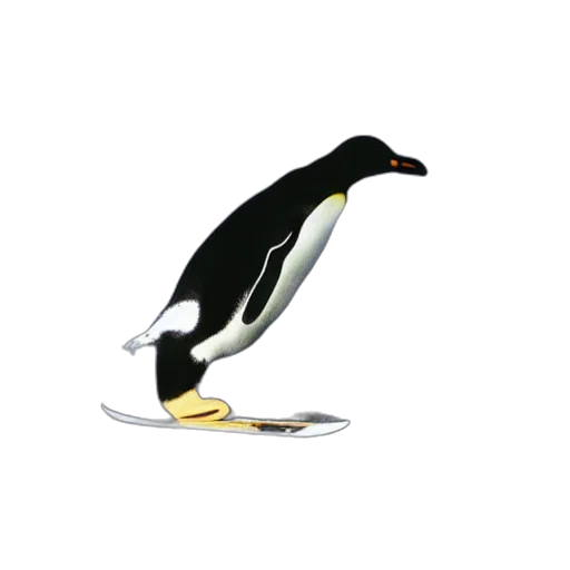 animal, staff, jewelry, crown transparent PNG cut-out