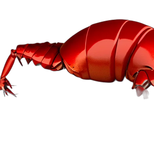animal, creature, food, weapon transparent PNG cut-out