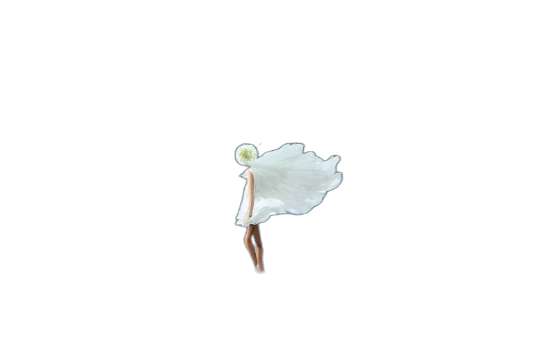 umbrella, weapon, flower, staff transparent PNG cut-out