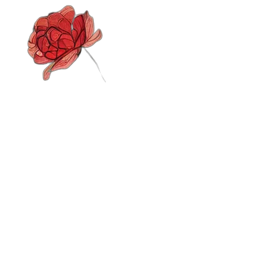 flower, crown, umbrella, weapon transparent PNG cut-out