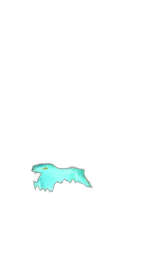 dragon, animal, creature, hair transparent PNG cut-out