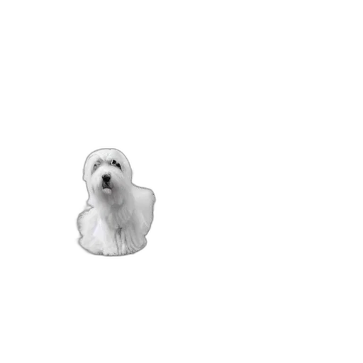 animal, creature, face, staff transparent PNG cut-out