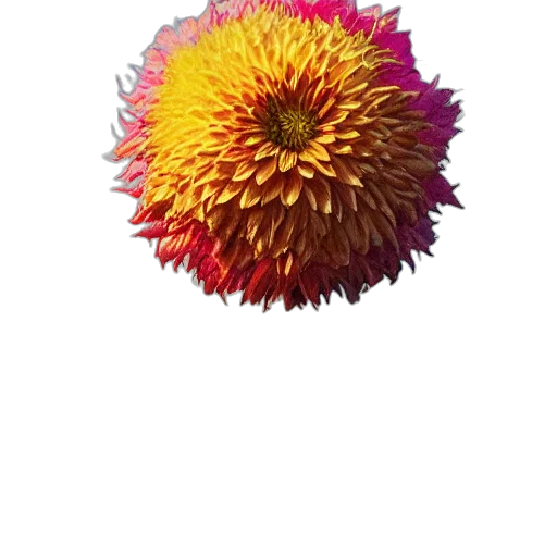 flower, crown, staff, hair transparent PNG cut-out