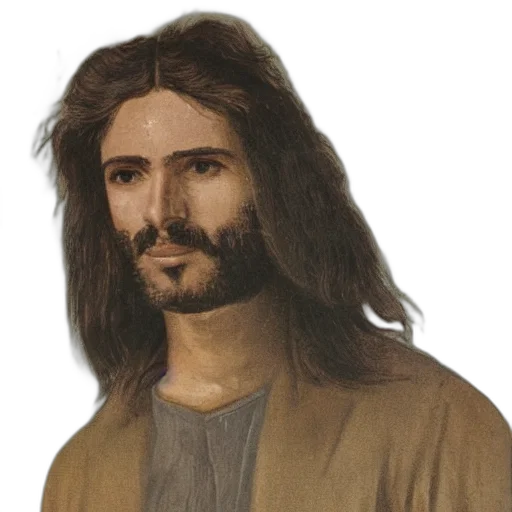 face, hair, photorealistic, concept art transparent PNG cut-out
