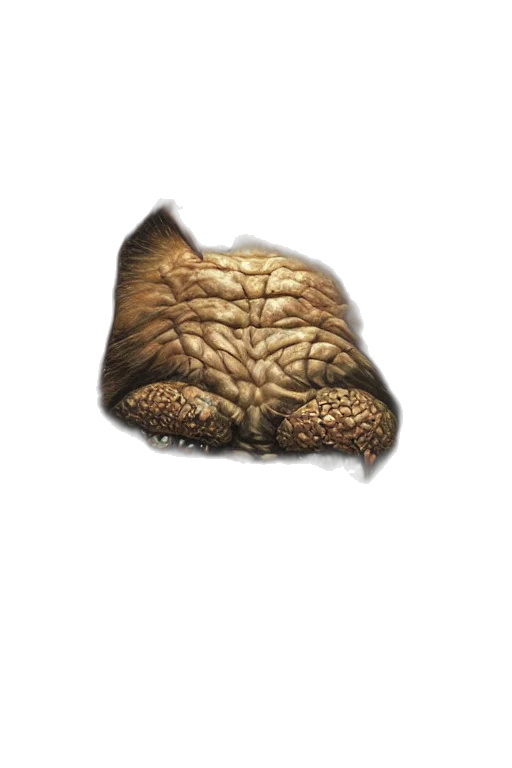 mask, creature, animal, face transparent PNG cut-out