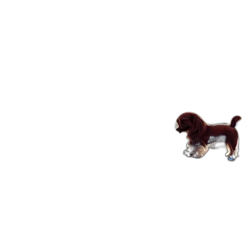 animal, creature, hair, staff transparent PNG cut-out