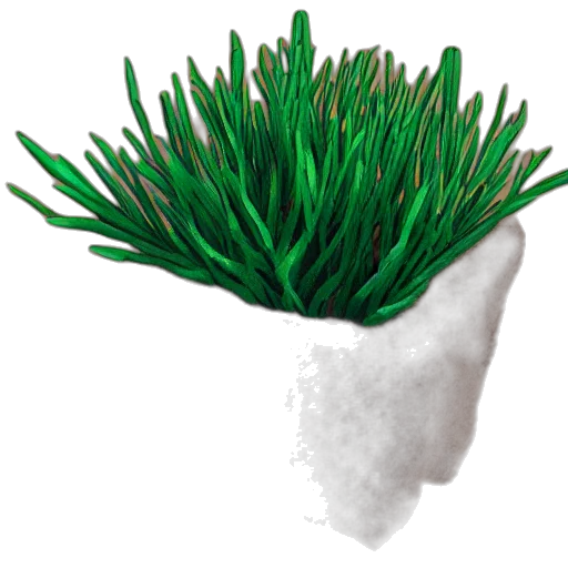 crown, hat, hair, flower transparent PNG cut-out
