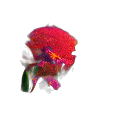 flower, crown, hat, mask transparent PNG cut-out