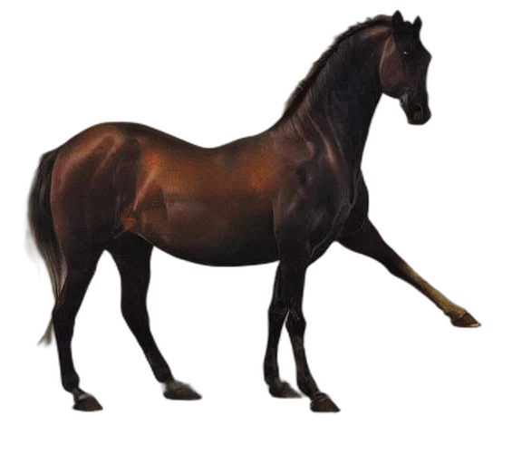 animal, creature, crown, staff transparent PNG cut-out