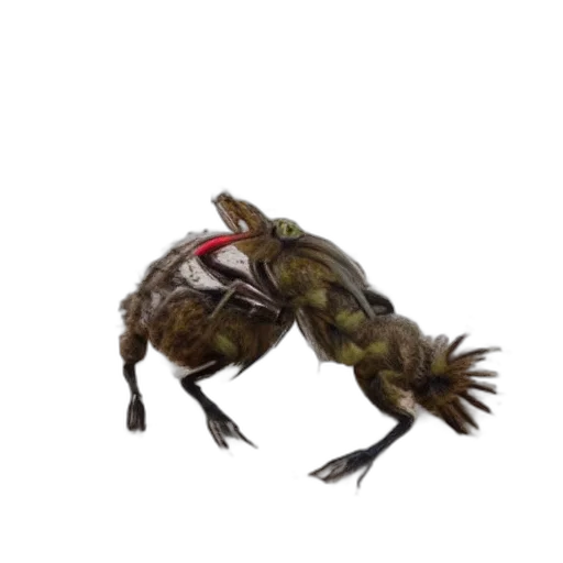 creature, animal, dragon, food transparent PNG cut-out