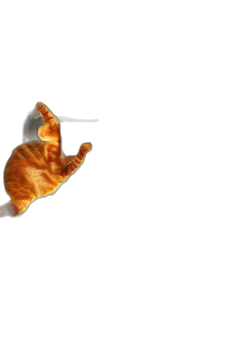 animal, umbrella, staff, food transparent PNG cut-out
