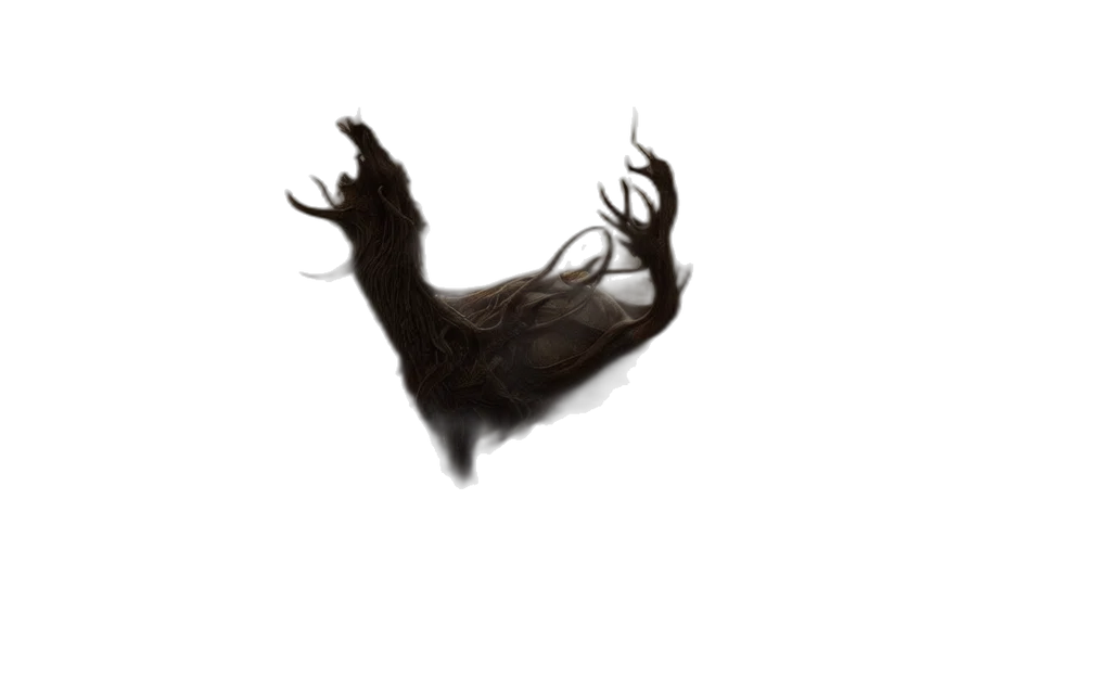 hair, creature, animal, crown transparent PNG cut-out