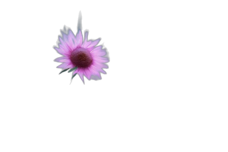 flower, crown, jewelry, weapon transparent PNG cut-out