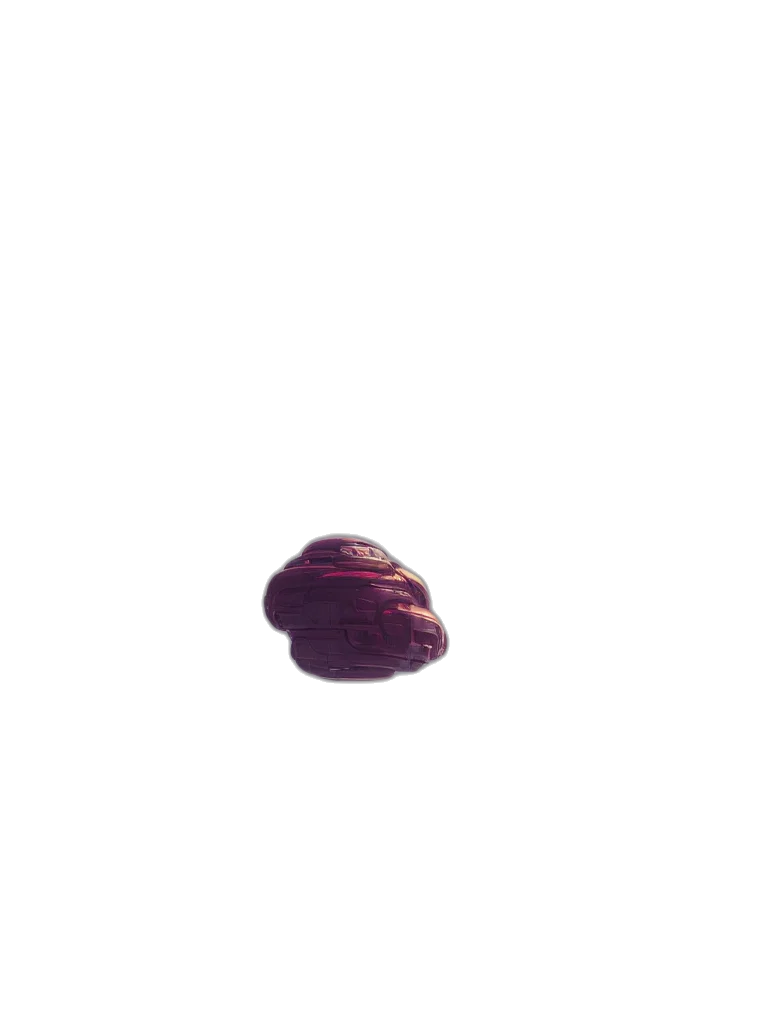 food, animal, hair, hat transparent PNG cut-out
