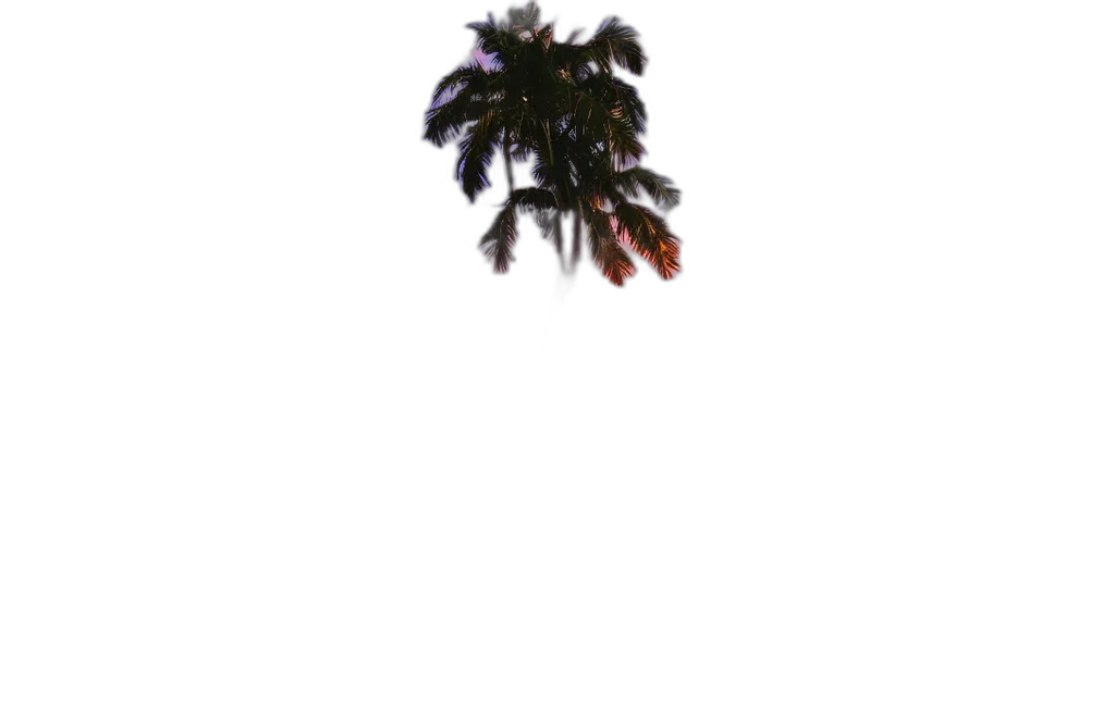 tree, crown, flower, hair transparent PNG cut-out