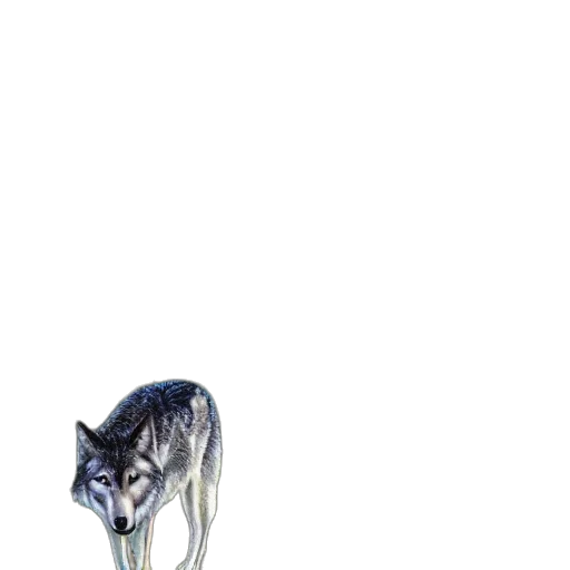 animal, creature, mask, dress transparent PNG cut-out
