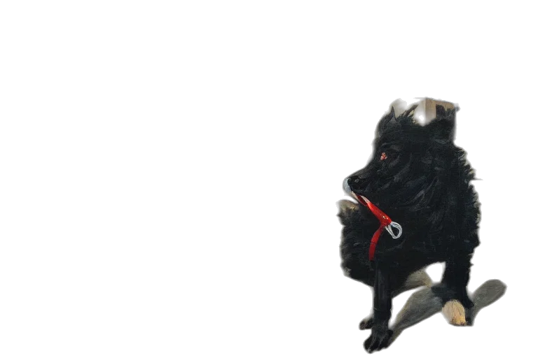animal, mask, creature, dragon transparent PNG cut-out