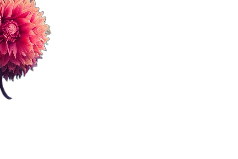 flower, staff, crown, umbrella transparent PNG cut-out