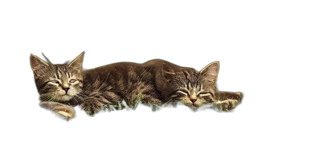 animal, staff, creature, photorealistic transparent PNG cut-out