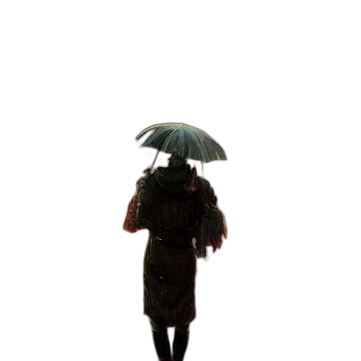 umbrella, jacket, dress, hat transparent PNG cut-out