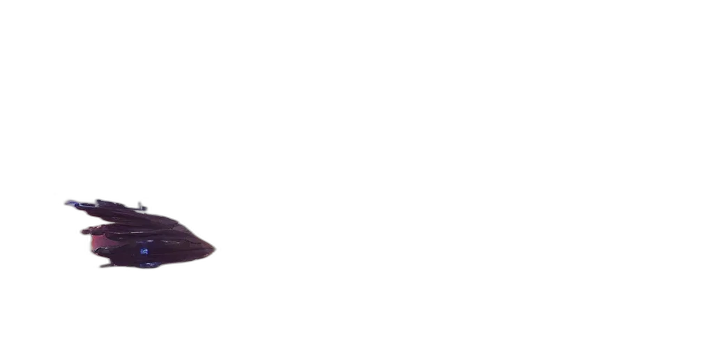 hat, umbrella, crown, staff transparent PNG cut-out