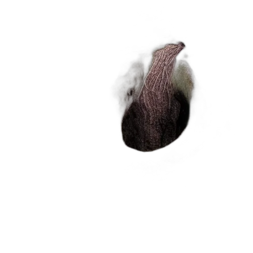 hair, hat, animal, creature transparent PNG cut-out