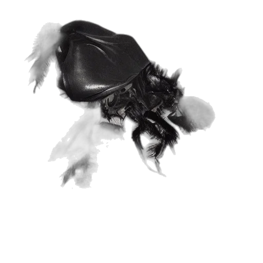 mask, creature, hat, animal transparent PNG cut-out