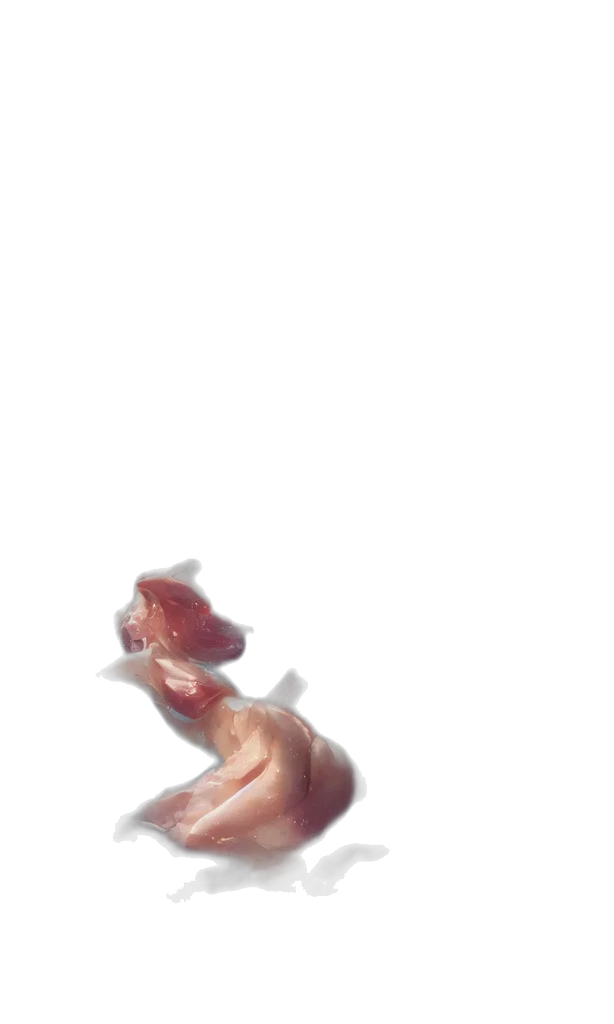 dress, weapon, creature, staff transparent PNG cut-out