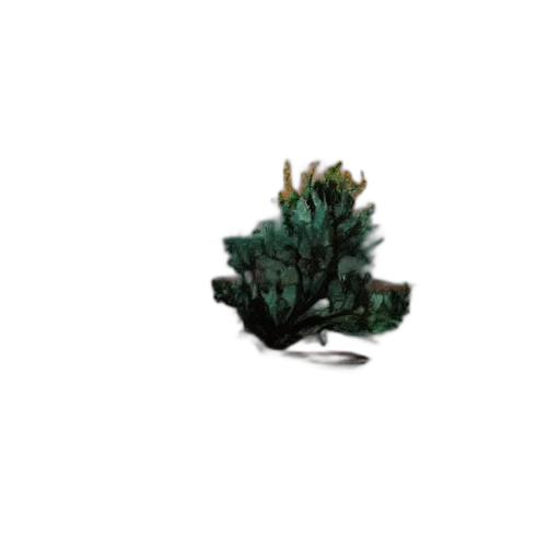 jewelry, crown, tree, flower transparent PNG cut-out