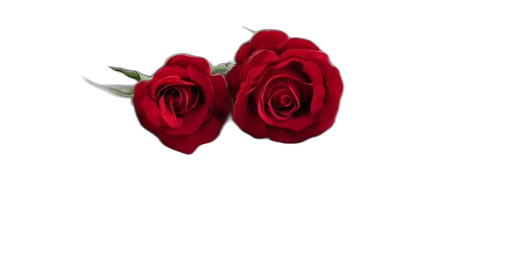 flower, jewelry, crown, staff transparent PNG cut-out
