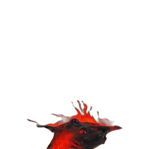 dragon, mask, creature, animal transparent PNG cut-out