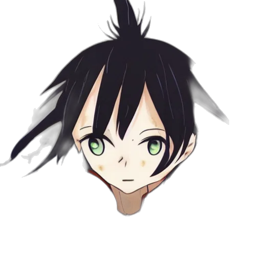 mask, face, hair, dragon transparent PNG cut-out