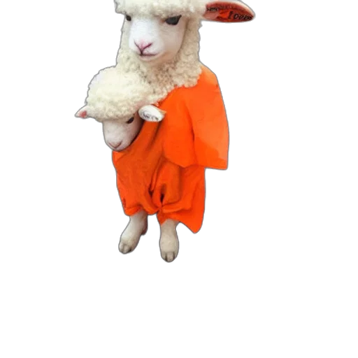 animal, dress, creature, 3d render transparent PNG cut-out