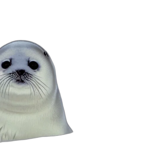 animal, creature, face, staff transparent PNG cut-out