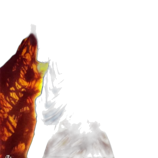 food, bottle, dragon, mask transparent PNG cut-out