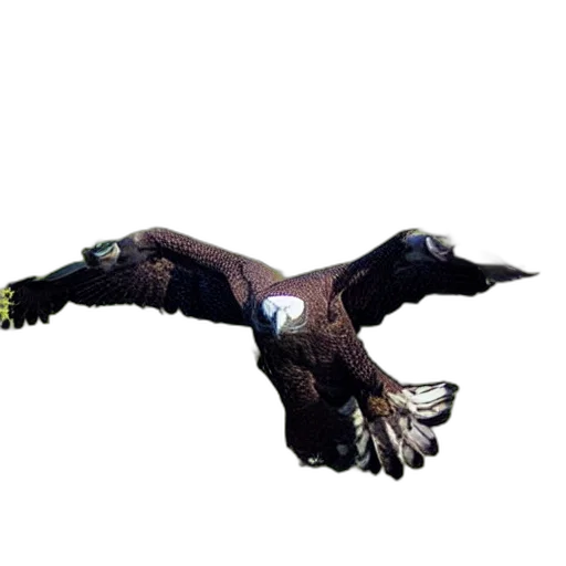 animal, creature, dragon, staff transparent PNG cut-out