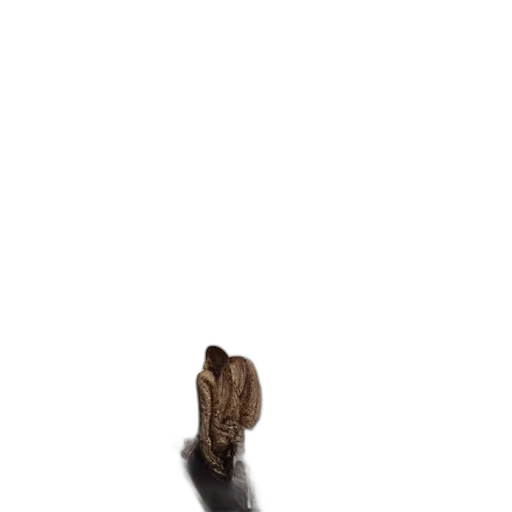 shoes, animal, hair, staff transparent PNG cut-out