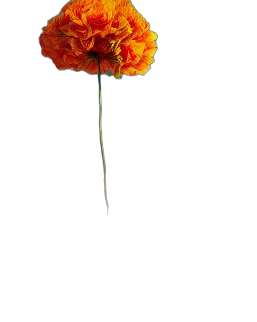 flower, crown, staff, weapon transparent PNG cut-out