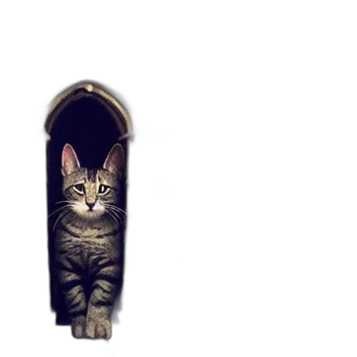 animal, staff, shoes, bottle transparent PNG cut-out