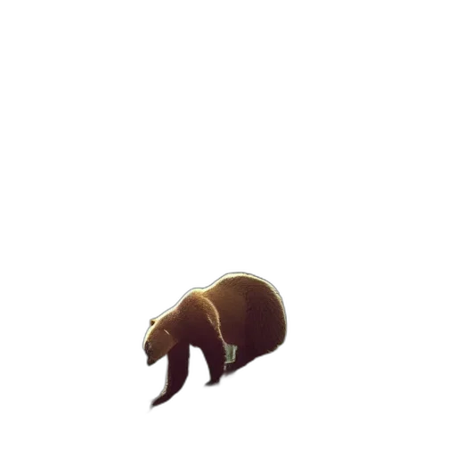 animal, creature, hat, staff transparent PNG cut-out