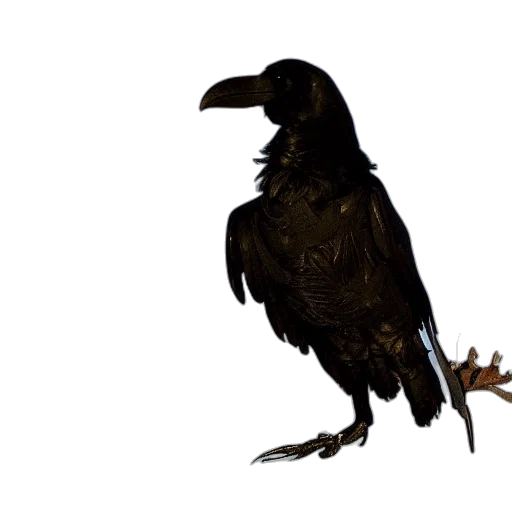 animal, creature, dragon, weapon transparent PNG cut-out