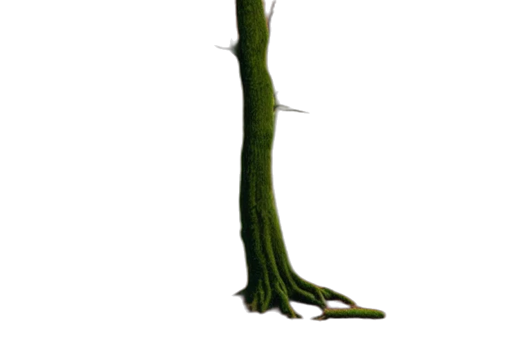 staff, weapon, tree, sword transparent PNG cut-out