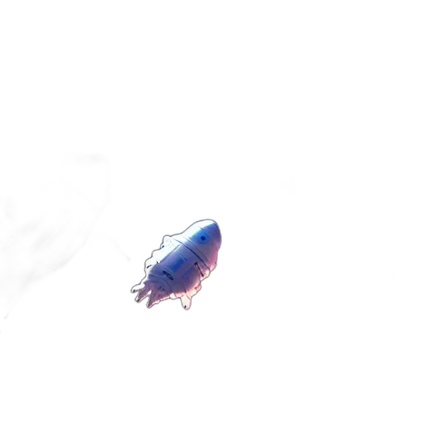 creature, animal, dragon, crown transparent PNG cut-out