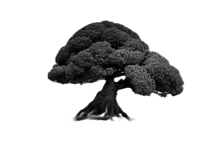 tree, crown, hair, food transparent PNG cut-out