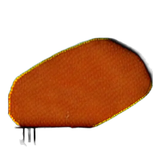 hat, hair, jacket, food transparent PNG cut-out